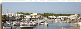 Calan bosc marina