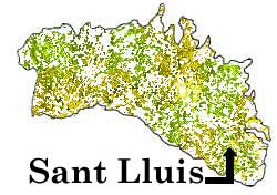Sant Lluis
