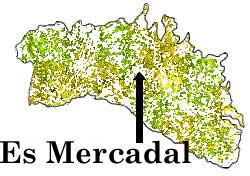 Es Mercadal