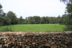 Menorca in April