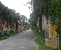 Menorca walking